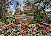 Thumbnail 45 of 45 - A sign that says Spring Ponte in front of a building.