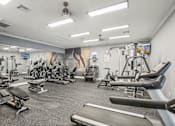Thumbnail 20 of 27 - A well-equipped gym with various exercise machines and weights.