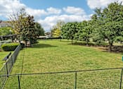 Thumbnail 29 of 32 - A green grassy area with a fence and trees.