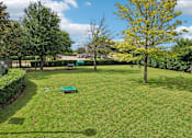 Thumbnail 28 of 32 - A green lawn with a yellow tree and a blue bench.