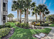Thumbnail 45 of 50 - a yard with palm trees and grass and a sidewalk