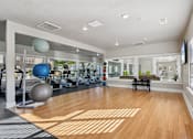 Thumbnail 51 of 70 - A gym with a variety of exercise equipment.