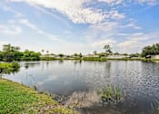 Thumbnail 33 of 33 - A serene lake surrounded by lush greenery under a clear blue sky.