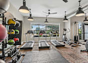 Thumbnail 14 of 32 - A gym with treadmills, weights, and exercise balls.