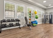 Thumbnail 25 of 28 - the preserve at ballantyne commons community fitness room