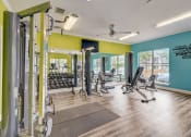Thumbnail 25 of 44 - a gym with weights and cardio equipment and a window
