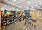 Thumbnail 30 of 31 - A gym with a variety of equipment including weights and a treadmill.