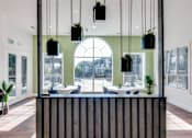Thumbnail 27 of 35 - A reception area with a striped counter and hanging plants.