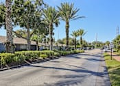 Thumbnail 24 of 25 - A street lined with palm trees and residential houses.