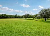 Thumbnail 23 of 26 - A grassy field with trees and a bench in the distance under a blue sky with clouds.