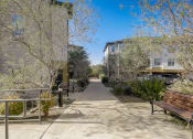 Thumbnail 34 of 37 - a sidewalk with benches and trees in front of buildings