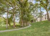 Thumbnail 38 of 44 - a path through a park with trees and a building in the background