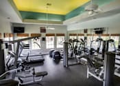 Thumbnail 15 of 17 - the gym has a variety of weights and cardio equipment