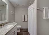 Thumbnail 9 of 17 - a bathroom with a toilet and a sink and a mirror