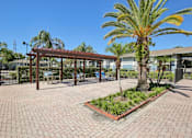 Thumbnail 15 of 25 - A palm tree is in the foreground of a sunny courtyard.