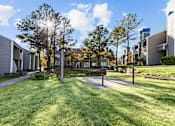 Thumbnail 28 of 37 - the preserve at ballantyne commons yard and apartment buildings