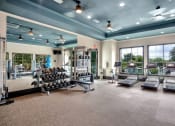 Thumbnail 31 of 35 - a large fitness room with cardio equipment and windows