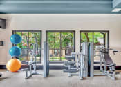 Thumbnail 33 of 35 - a gym with exercise equipment and large windows