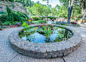 Thumbnail 41 of 45 - a small pond in the middle of a park