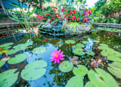 Thumbnail 42 of 45 - a pond with a pink flower in it