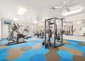 Thumbnail 32 of 53 - a gym with weights and cardio machines and ceiling fans