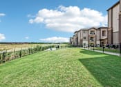 Thumbnail 29 of 33 - the preserve at ballantyne commons yard and apartment buildings