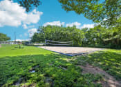 Thumbnail 30 of 40 - a volleyball court in a park with trees