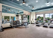 Thumbnail 31 of 35 - Parkview Terraces fitness center with free weights, treadmills, and large windows.