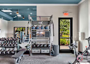 Thumbnail 34 of 35 - Functional training station with kettlebells, dumbbells, and mirrored wall in gym.