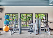 Thumbnail 33 of 35 - Strength-training area with cable machines, bench equipment, and exercise balls.