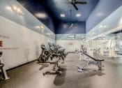 Thumbnail 15 of 21 - a gym with a bunch of exercise bikes in it