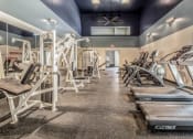 Thumbnail 14 of 21 - the gym is equipped with cardio equipment and weights