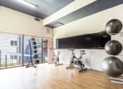 Thumbnail 16 of 21 - a workout room with weights and cardio machines and a large window