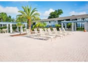 Thumbnail 10 of 21 - clearwater fl apartments