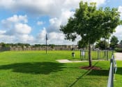 Thumbnail 12 of 24 - a park with a tree and a fence