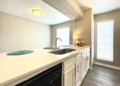 Thumbnail 11 of 31 - a kitchen with a sink and a dishwasher  at The Alara, Houston, 77060