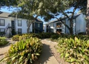 Thumbnail 11 of 30 - a path leads through a garden in front of a row of houses  at 2151 Kirkwood, Texas
