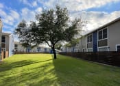 Thumbnail 6 of 16 - a tree in the middle of a yard in front of a building