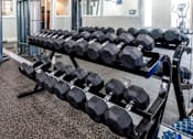Thumbnail 5 of 15 - A set of black dumbbells are arranged on a rack in a gym.