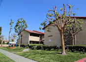 Thumbnail 7 of 37 - A building with a red roof and a tree in front of it.