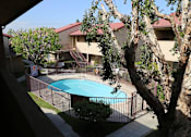 Thumbnail 30 of 37 - A tree is in the foreground of a photo showing a pool and apartment.
