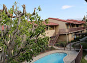 Thumbnail 37 of 37 - A tree is in front of a building with a pool.