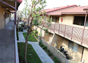 Thumbnail 36 of 37 - A tree in a courtyard of apartment buildings.