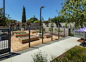 Thumbnail 24 of 77 - A garden with a fence and a sign on it.