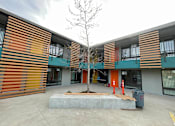 Thumbnail 2 of 15 - A tree in front of a building with orange and green stripes on the wall.