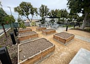 Thumbnail 3 of 15 - A garden with raised beds and a gazebo in the background.