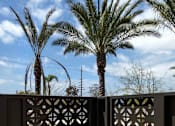 Thumbnail 7 of 37 - A gate with a decorative design is open to a patio with a palm tree.
