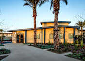 Thumbnail 29 of 37 - A building with the number 11850 on it is surrounded by palm trees.