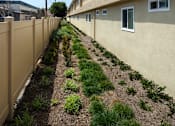 Thumbnail 33 of 37 - A row of houses with a fence and green plants in front.