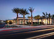 Thumbnail 6 of 37 - A long exposure shot of a street with palm trees and a building with lights on.